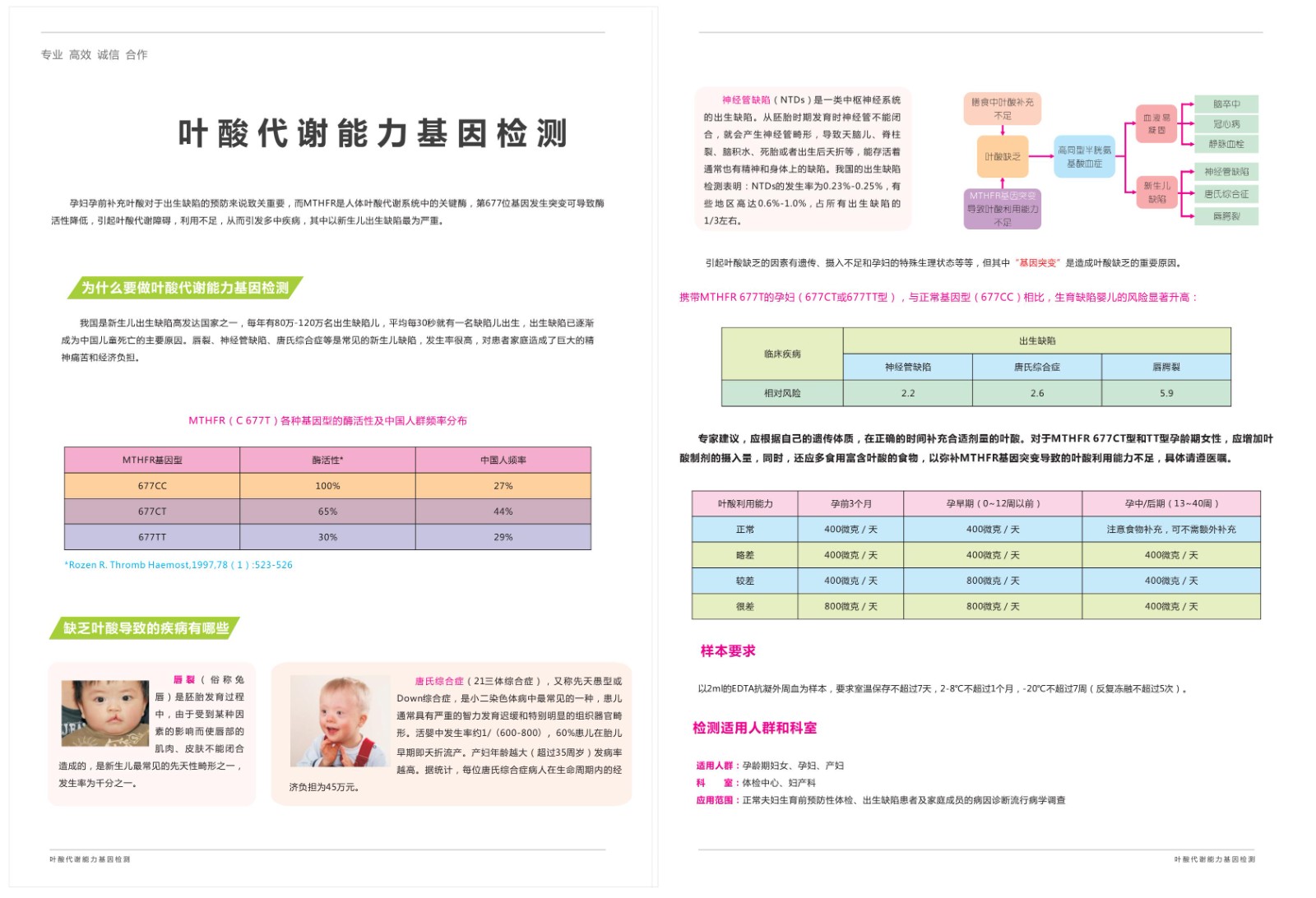 新澳门资料网